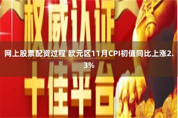 网上股票配资过程 欧元区11月CPI初值同比上涨2.3%