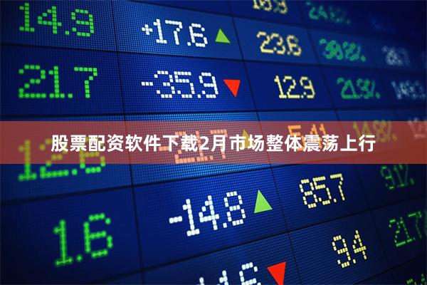 股票配资软件下载2月市场整体震荡上行